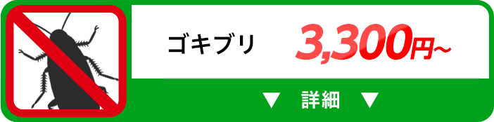 ゴキブリ 3,300円～