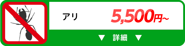 アリ 5,500円～