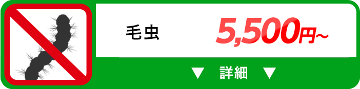 毛虫 5,500円～