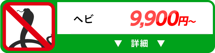 ヘビ 9,900円～