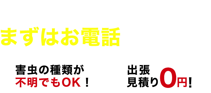 害虫を徹底駆除！まずはお電話ください！