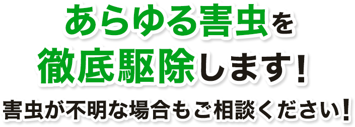 こんなお悩み、すぐご相談ください！！