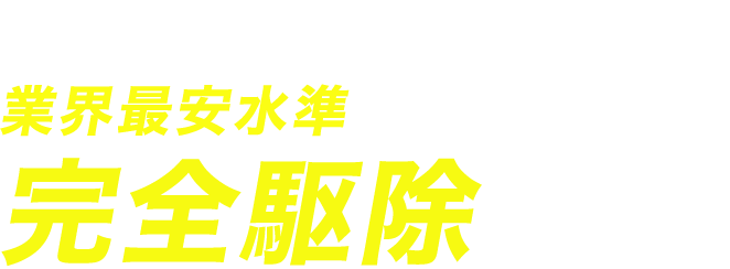 害虫駆除の窓口は業界最安水準でどんな虫でも完全駆除します！