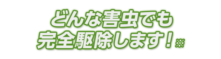 害虫の種類