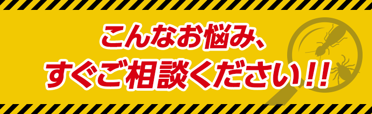 こんなお悩み、すぐご相談ください!!